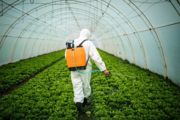 Best Pest Removal Services  in Charleston, WV