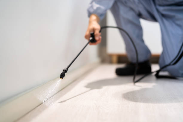 Pest Control Cost in Charleston, WV