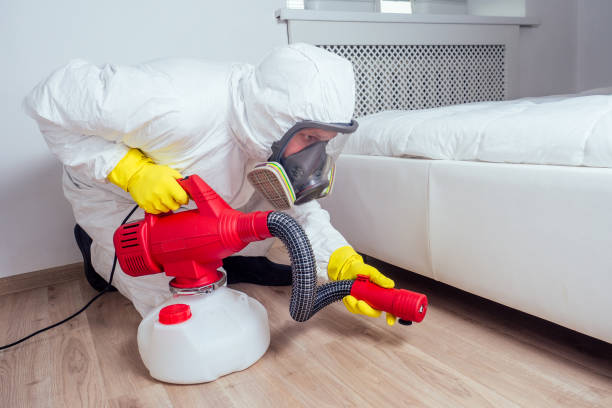 Best Flea Control Services  in Charleston, WV