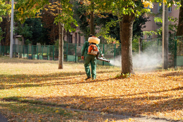 Best Emergency Pest Control  in Charleston, WV
