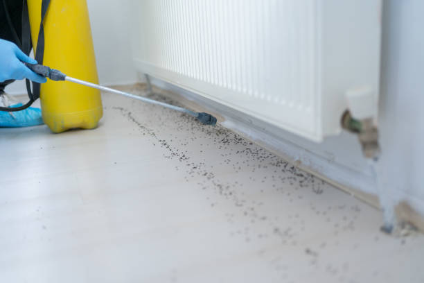 Best Best Pest Control Companies  in Charleston, WV