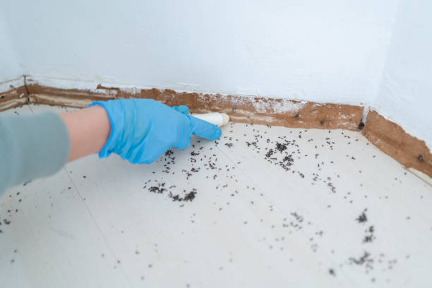 Best Pest Control for Homes  in Charleston, WV